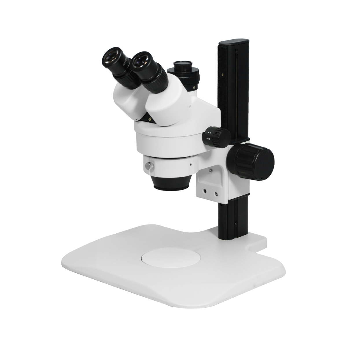 Stereo Microscope